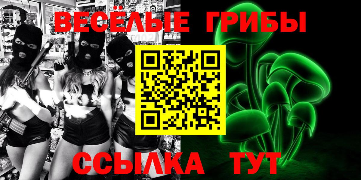 Псилоцибиновые грибы Cubensis Алейск