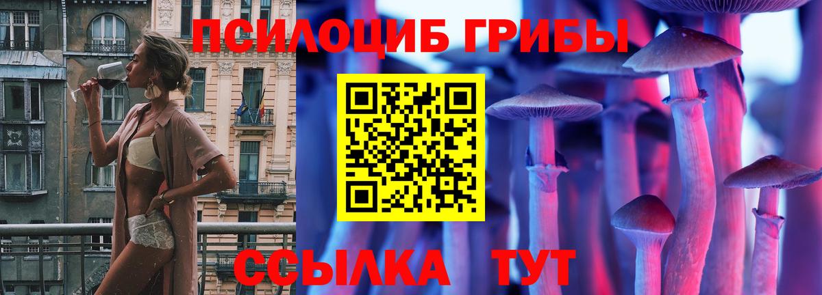 Галлюциногенные грибы мицелий  Вход с VPN  Алейск 